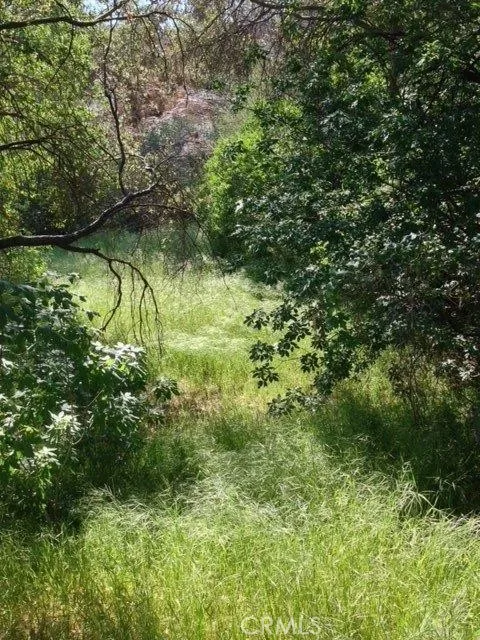 37 Lynx Prather, CA 93651 - Photo 29 of 64