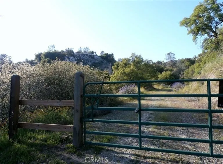 37 Lynx Prather, CA 93651 - Photo 3 of 64