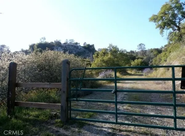 a view of a forest with trees in the background