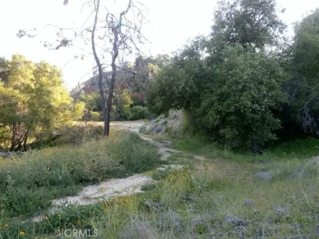 a view of a field with an tree
