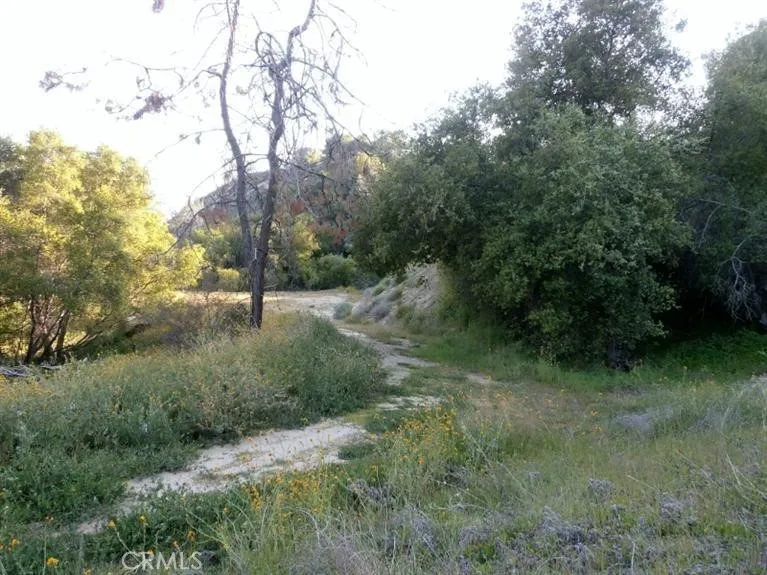 37 Lynx Prather, CA 93651 - Photo 4 of 64