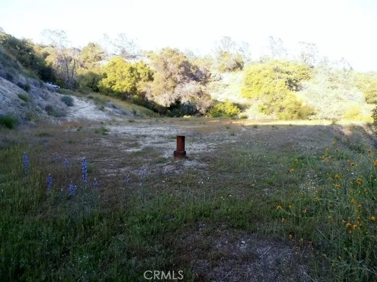 37 Lynx Prather, CA 93651 - Photo 5 of 64 a view of a field with an tree