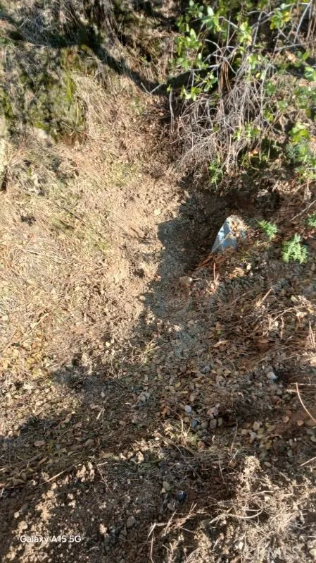 37 Lynx Prather, CA 93651 - Photo 59 of 64