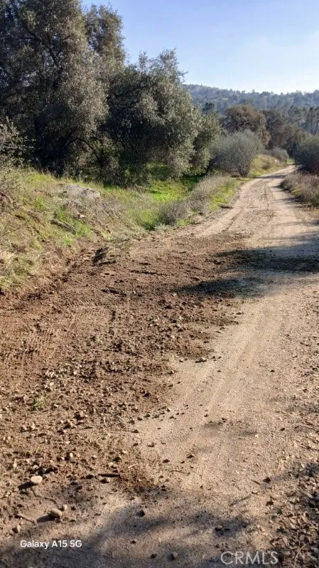 37 Lynx Prather, CA 93651 - Photo 60 of 64