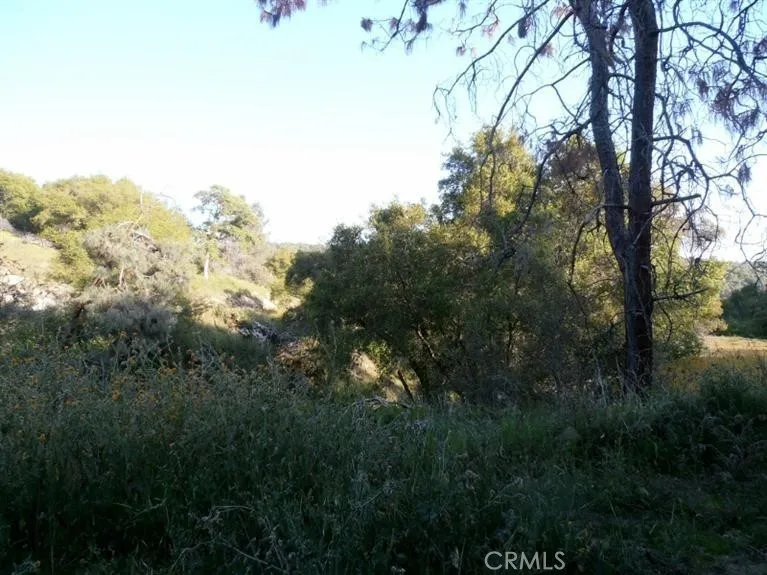 37 Lynx Prather, CA 93651 - Photo 6 of 64