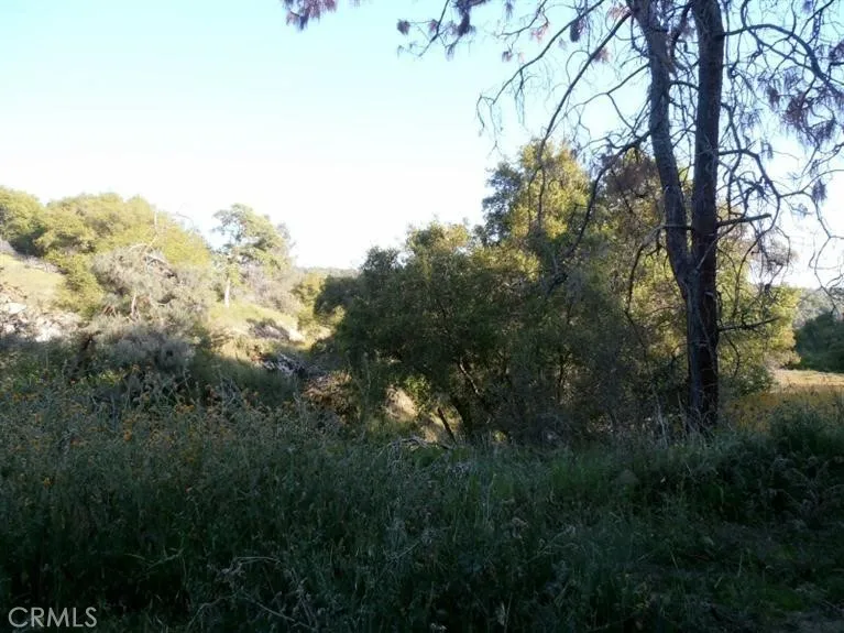 37 Lynx Prather, CA 93651 - Photo 6 of 64 a view of a city with lush green forest