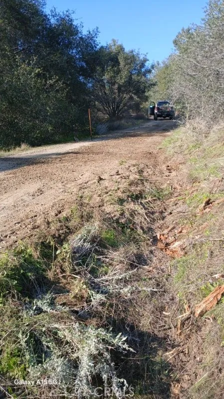 37 Lynx Prather, CA 93651 - Photo 61 of 64