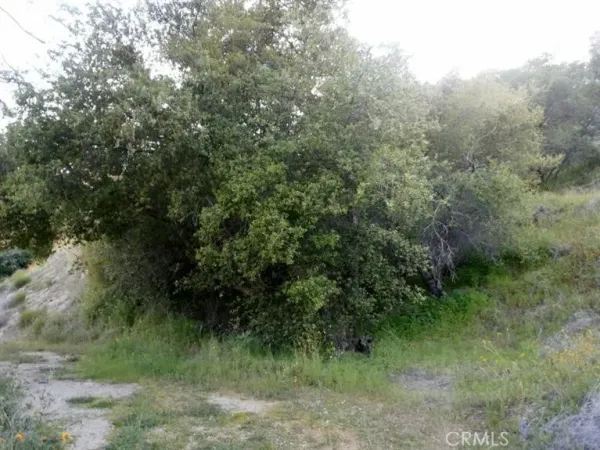 a view of a dry yard with lots of green space