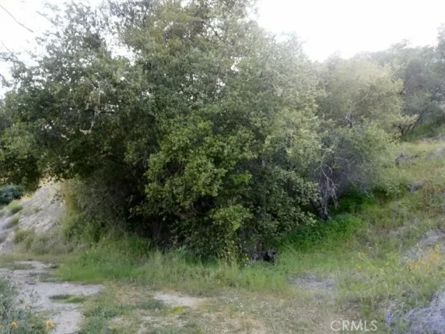 a view of a dry yard with lots of green space