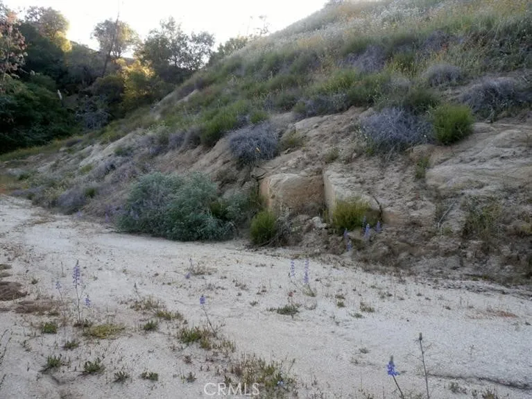 37 Lynx Prather, CA 93651 - Photo 9 of 64