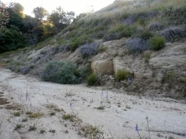 a view of mountain and field