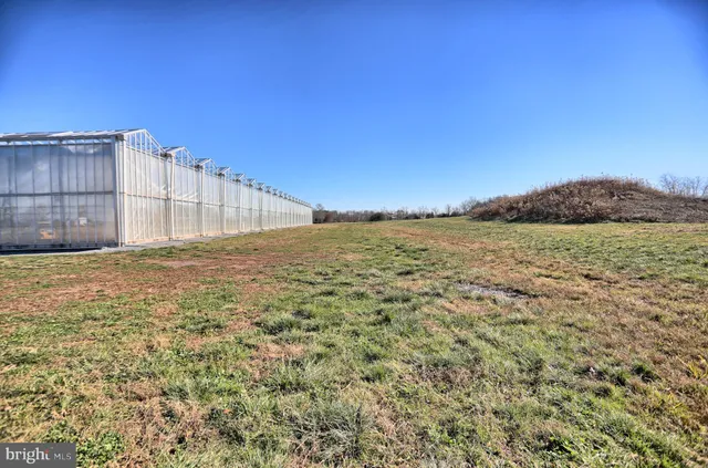 a view of entryway livingroom and hall with wooden floor