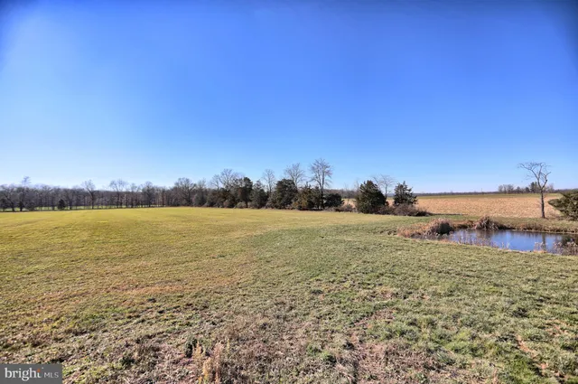 a living room with a couch and a dining table with wooden floor