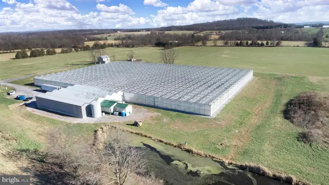 a view of swimming pool with outdoor space
