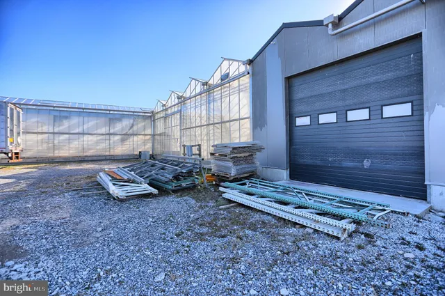 a view of a yard with an house in background