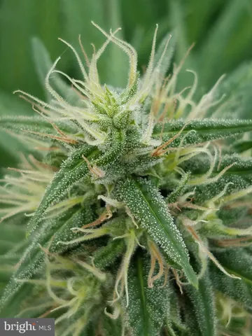 $4,900,000 | 435 Fickes School Road, York Springs, PA 17372