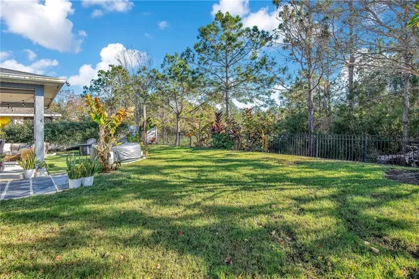 a view of a park with large trees