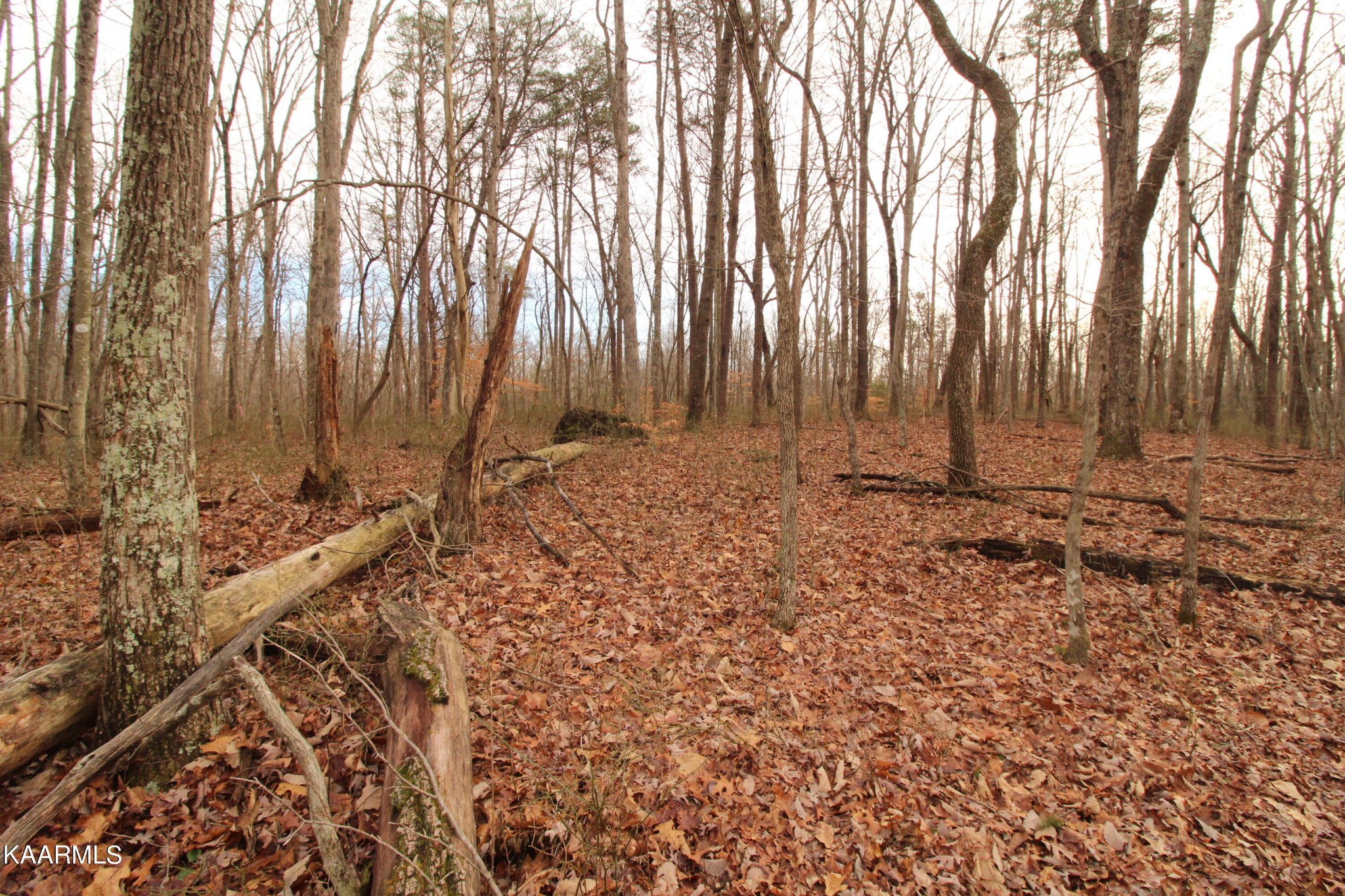 866 Sawmill Road Monterey, TN 38574 - Photo 13 of 15 Gallery Image 13