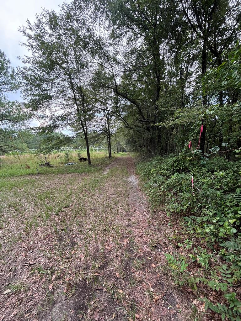3152 Corbett Road Pinewood, SC 29125 - Photo 2 of 14
