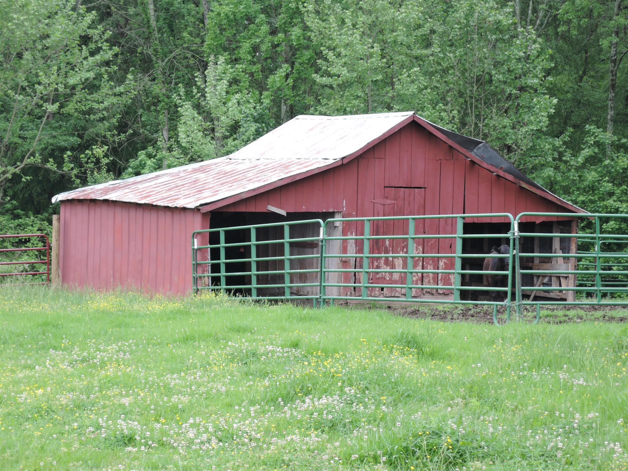 49 Wells Lee Road Flintville, TN 37335 - Photo 11 of 20 Gallery Image 11