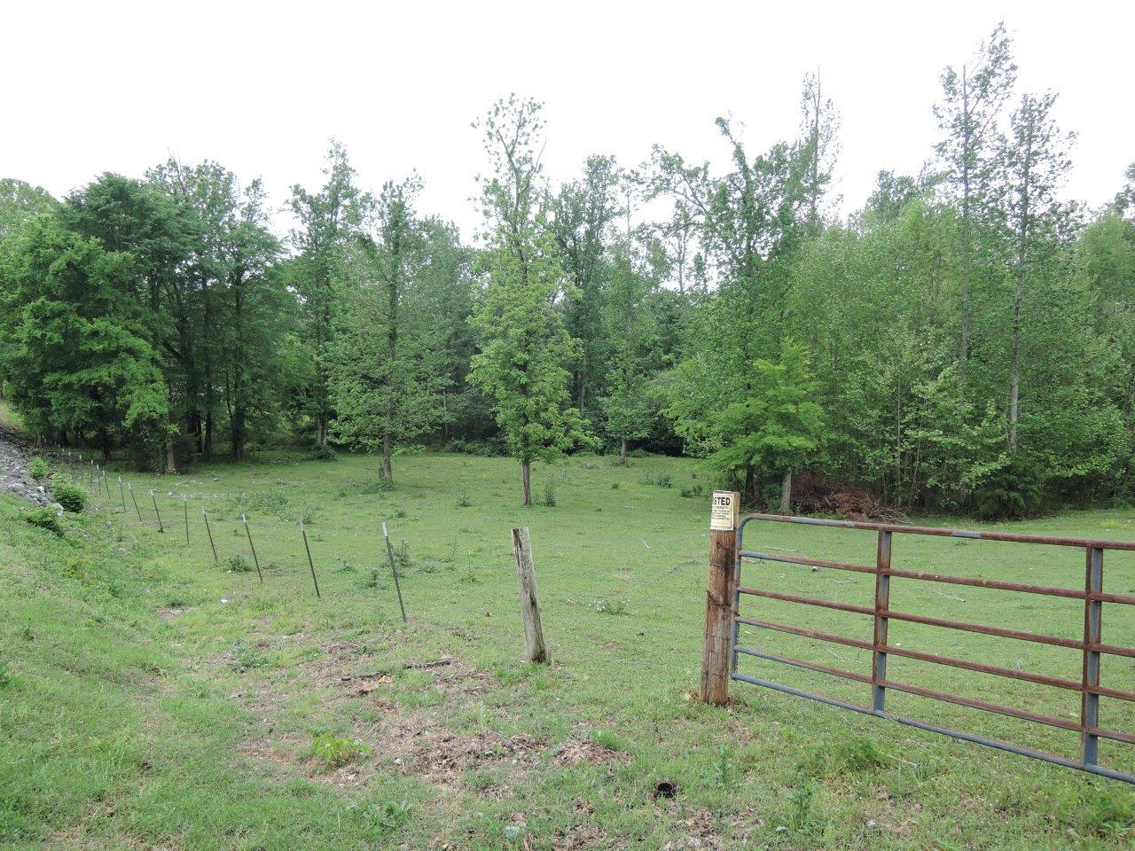 49 Wells Lee Road Flintville, TN 37335 - Photo 15 of 20 Gallery Image 15