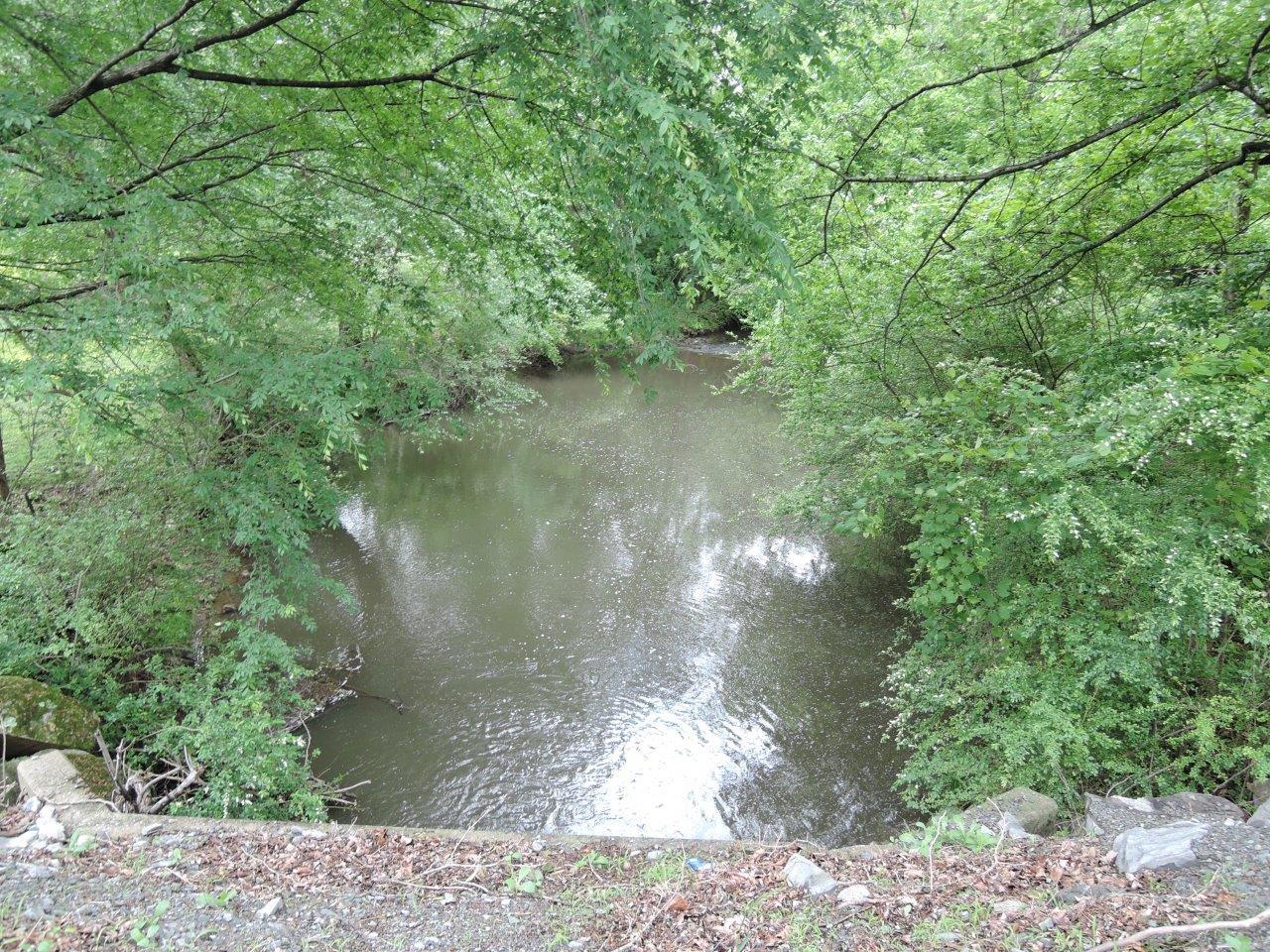 49 Wells Lee Road Flintville, TN 37335 - Photo 16 of 20 Gallery Image 16