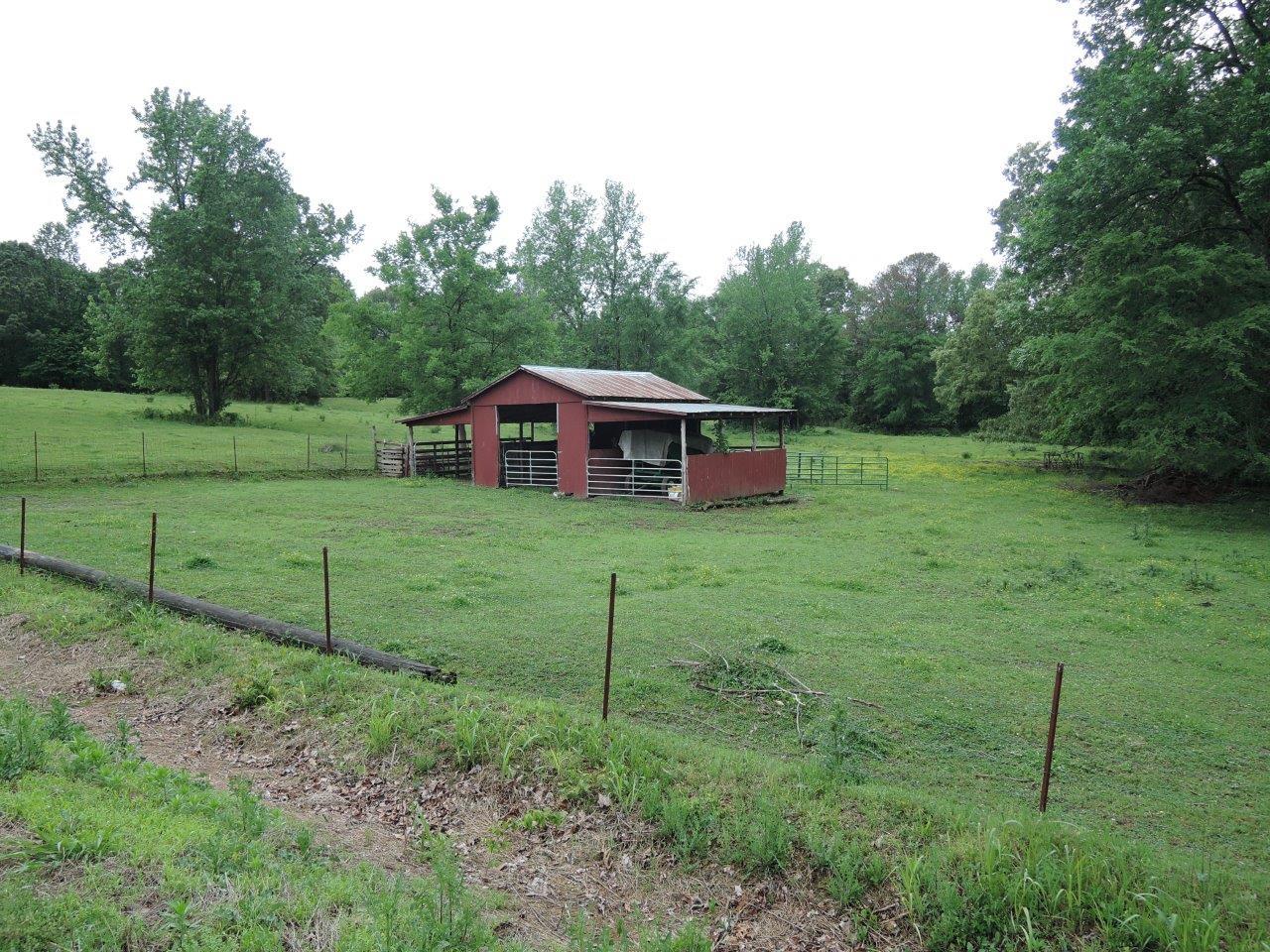 49 Wells Lee Road Flintville, TN 37335 - Photo 19 of 20 Gallery Image 19