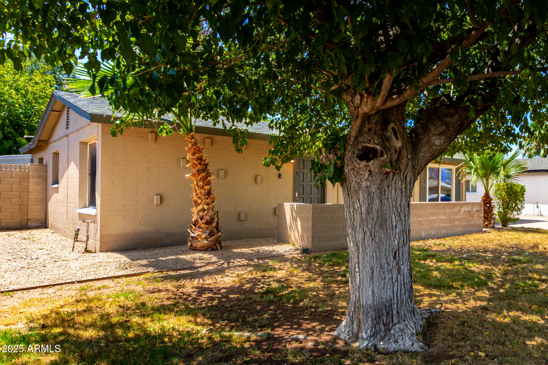 2100 North Normal Avenue Tempe, AZ 85288 - Photo 3 of 51 a tree in front of a white house