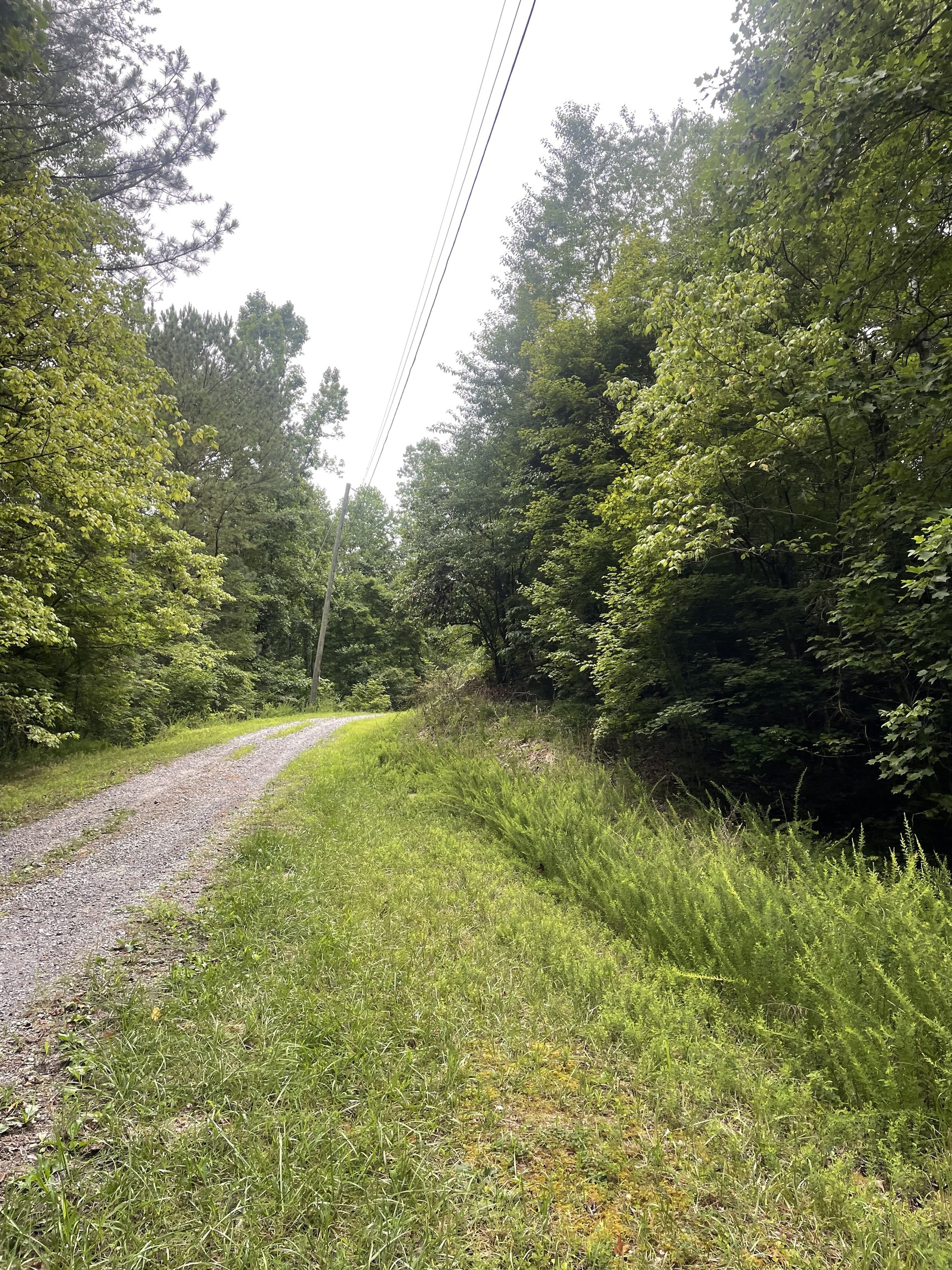 843 Albus Court Ranger, GA 30734 - Photo 2 of 32 a view of outdoor space and yard