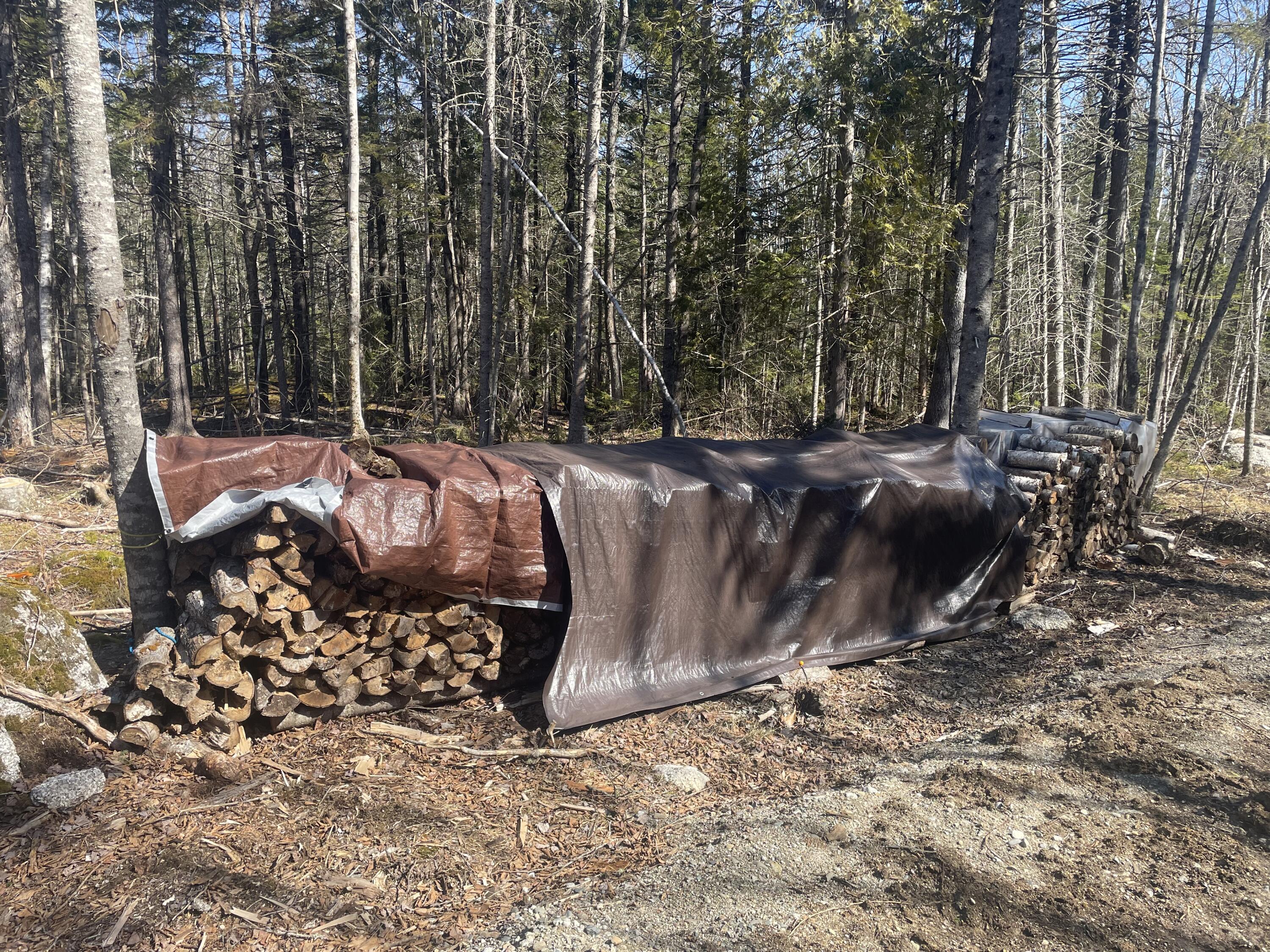 Map19-lot60 High Point Drive Penobscot, ME 04476 - Photo 11 of 15 image00011