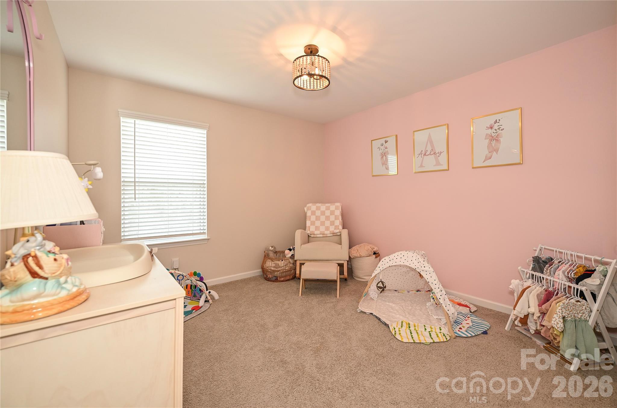 1164 Scotch Meadows Loop Monroe, NC 28110 - Photo 26 of 28