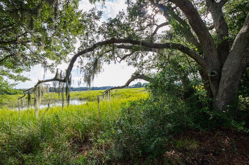 17 Palmetto Road Charleston, SC 29407 - Photo 25 of 26 STP_2339