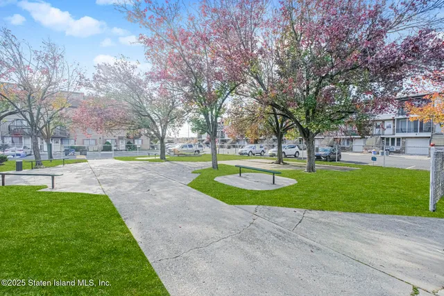 a view of a park with large trees