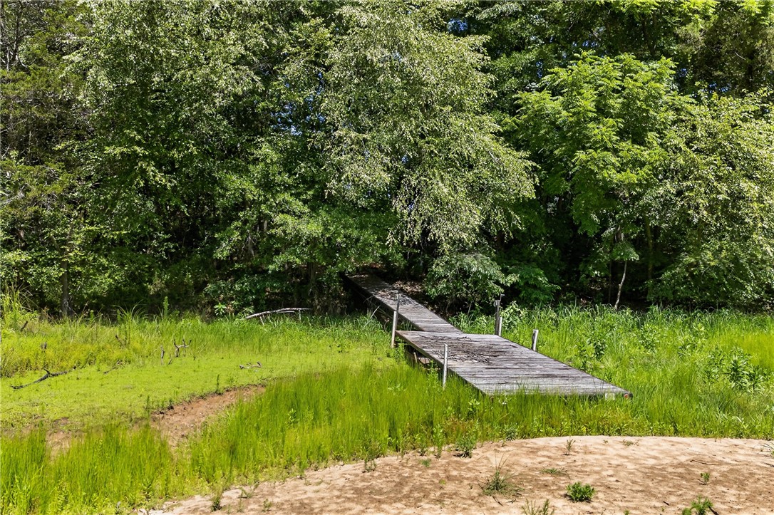 0 Seneca Springs Landing Road Seneca, SC 29678 - Photo 29 of 39 A wooden pier extends through dense foliage to serene waters, perfect for peaceful reflection.
