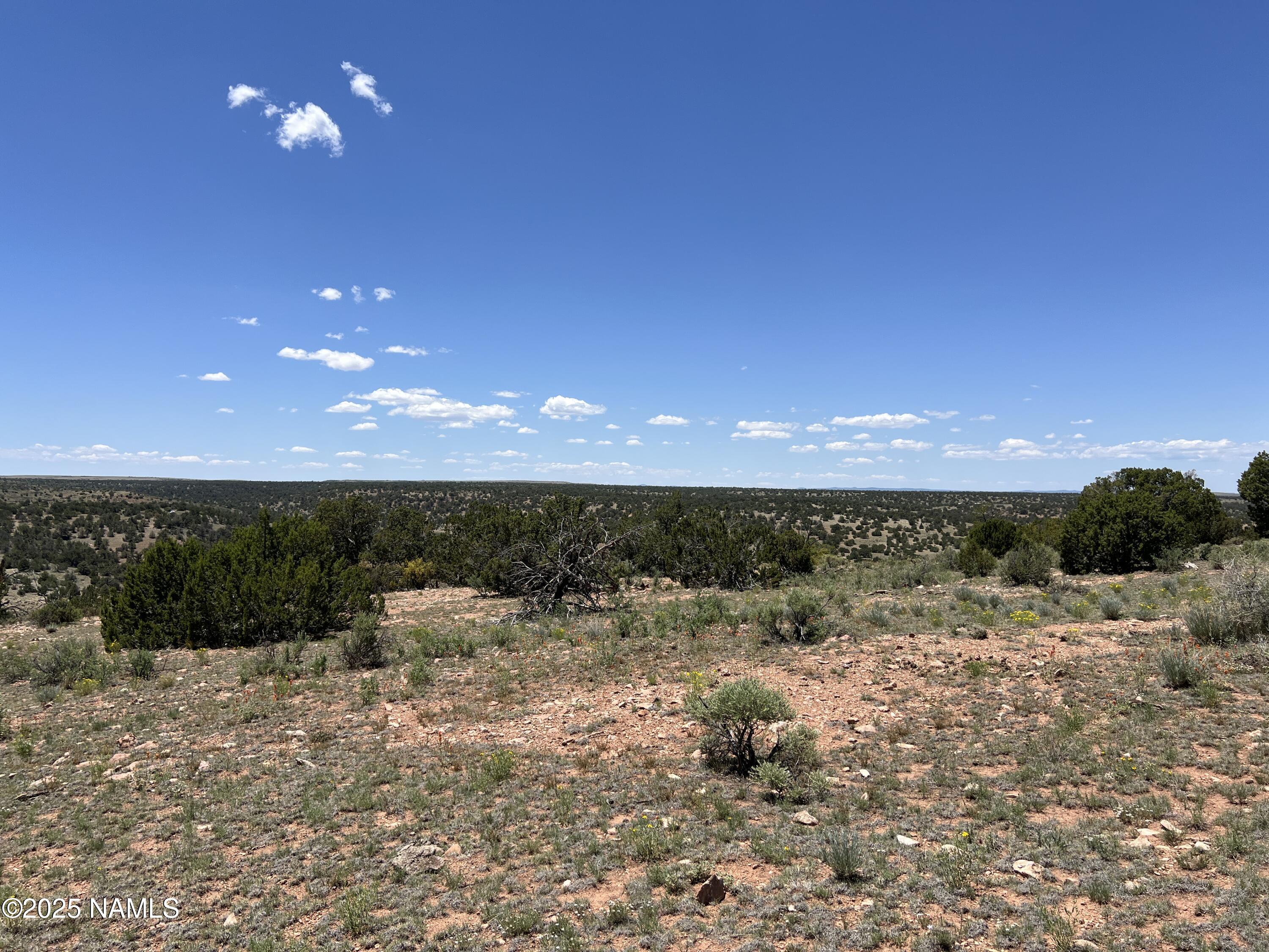 8834 Northstar Road Williams, AZ 86046 - Photo 19 of 33 IMG_5424