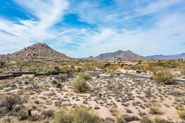 a view of a dry field with trees in the background