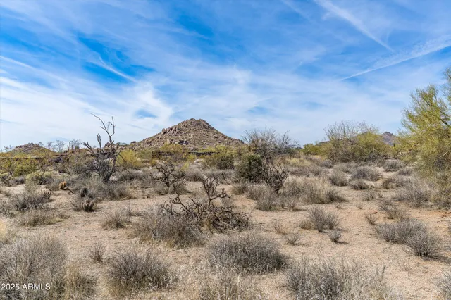 a view of a large body of water with lots of trees