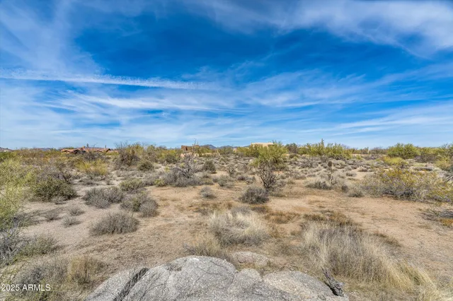 a view of a city with lush green forest