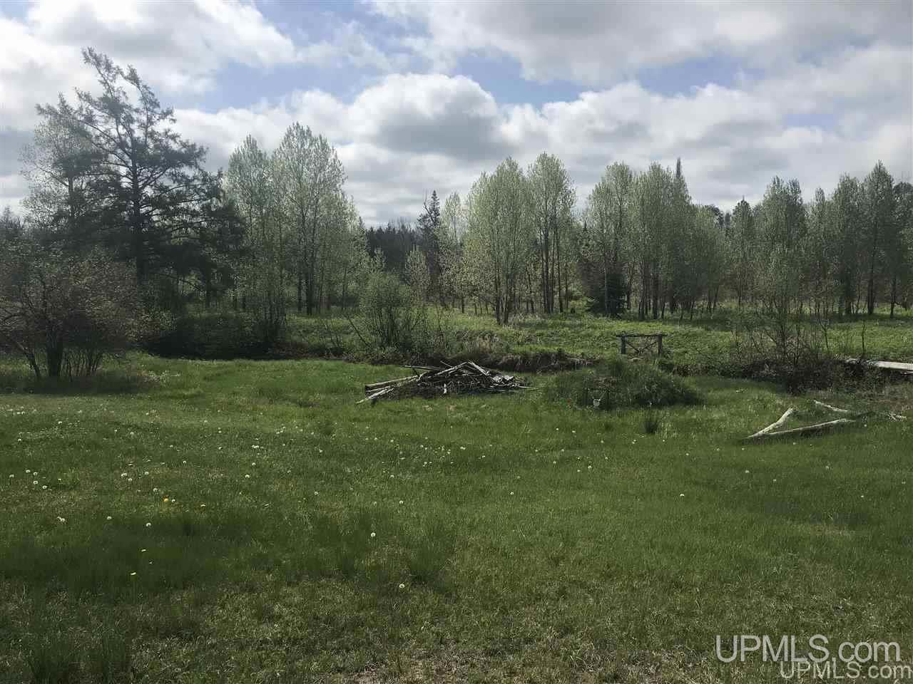 W1695 Co Road Felch, MI 49831 - Photo 8 of 50