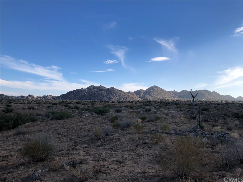 0 Curtis Road Pioneertown, CA 92268 - Photo 11 of 32 Gallery Image 11