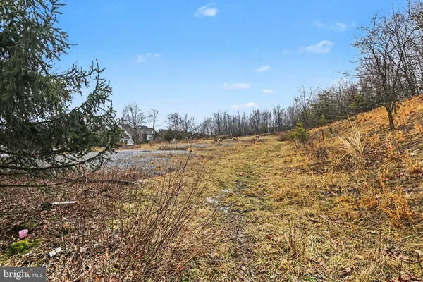 a view of a yard with an trees