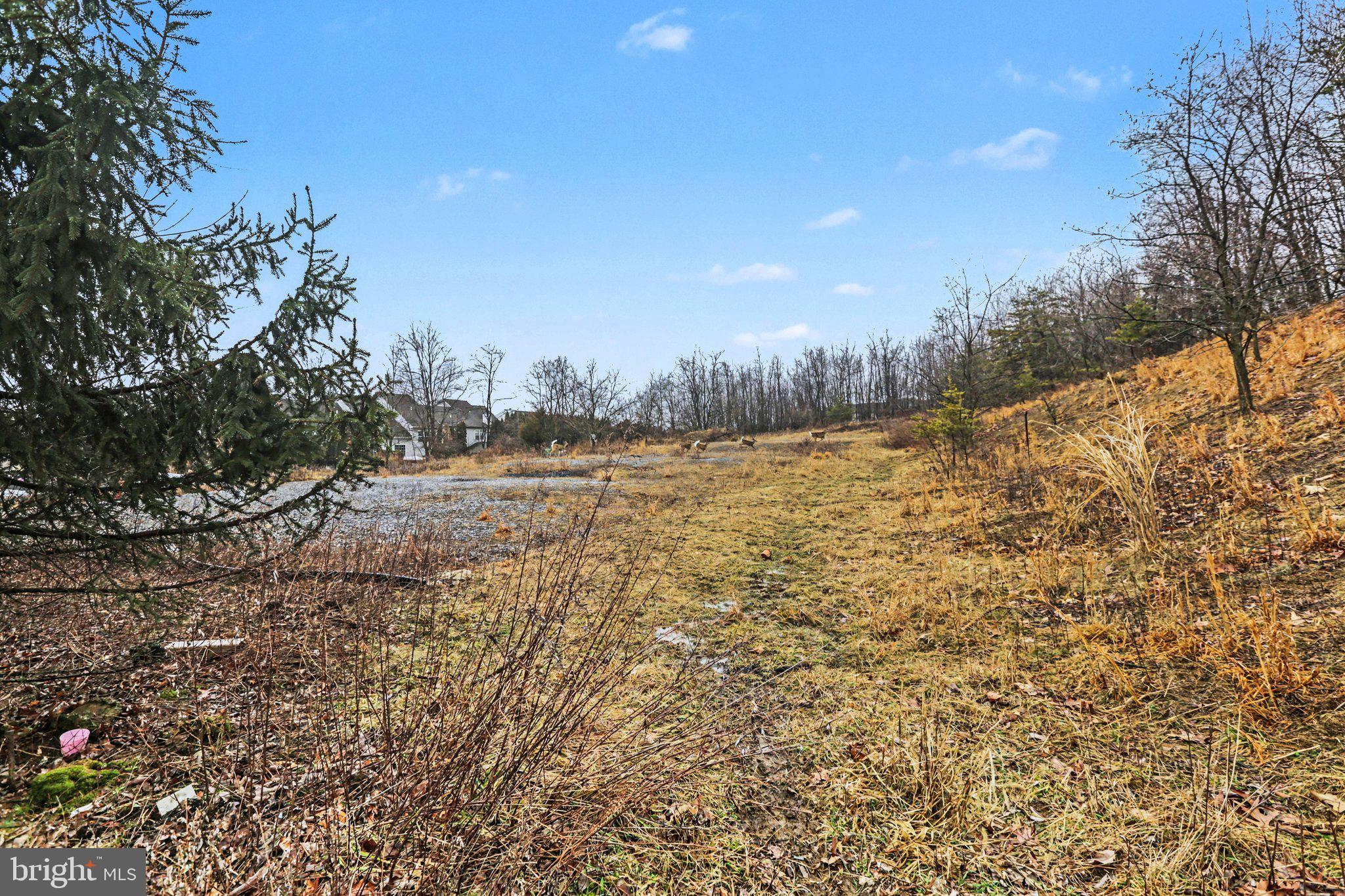 130 Blue Ridge Circle Harrisburg, PA 17110 - Photo 34 of 34