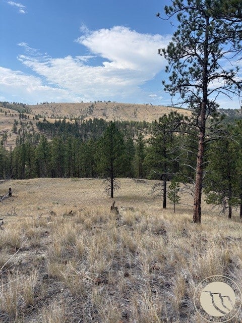 Lot 17 Skibstad Road Road Columbus, MT 59019 - Photo 27 of 28 Gallery Image 27
