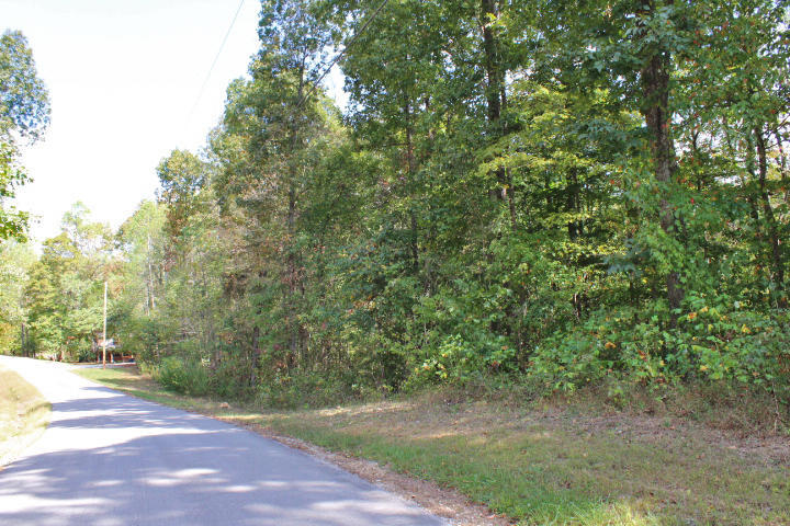 945 Haynes Knob Road Somerset, KY 42501 - Photo 70 of 70 IMG_8773