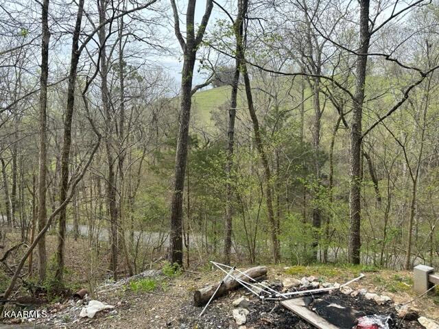 9900 Twinville Road Powell, TN 37849 - Photo 6 of 42 IMG_9559