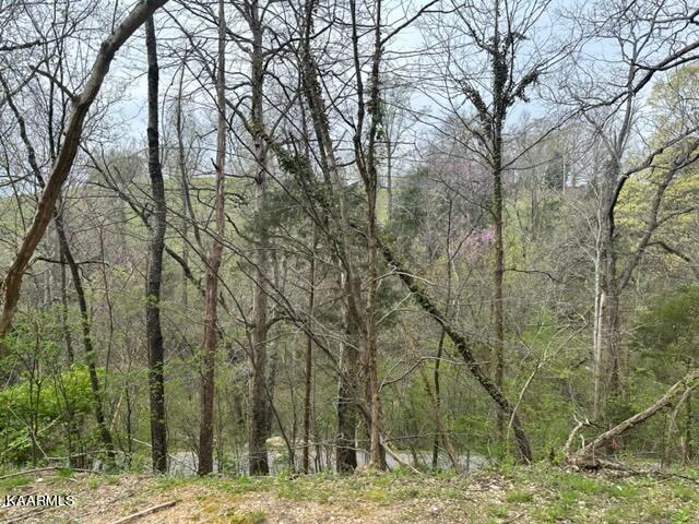 9900 Twinville Road Powell, TN 37849 - Photo 9 of 42 IMG_9563