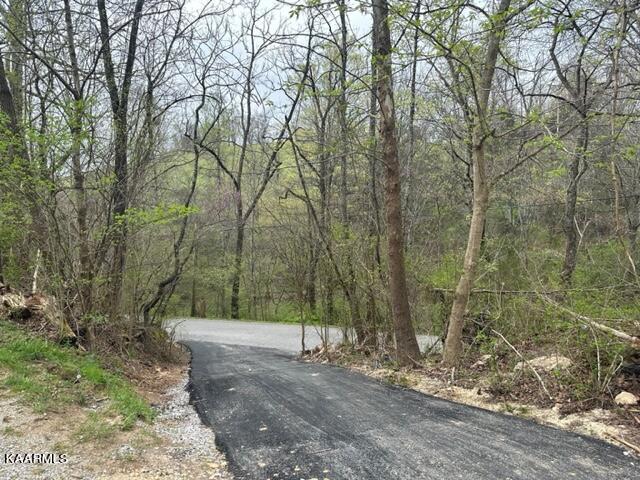 9900 Twinville Road Powell, TN 37849 - Photo 10 of 42 IMG_9566