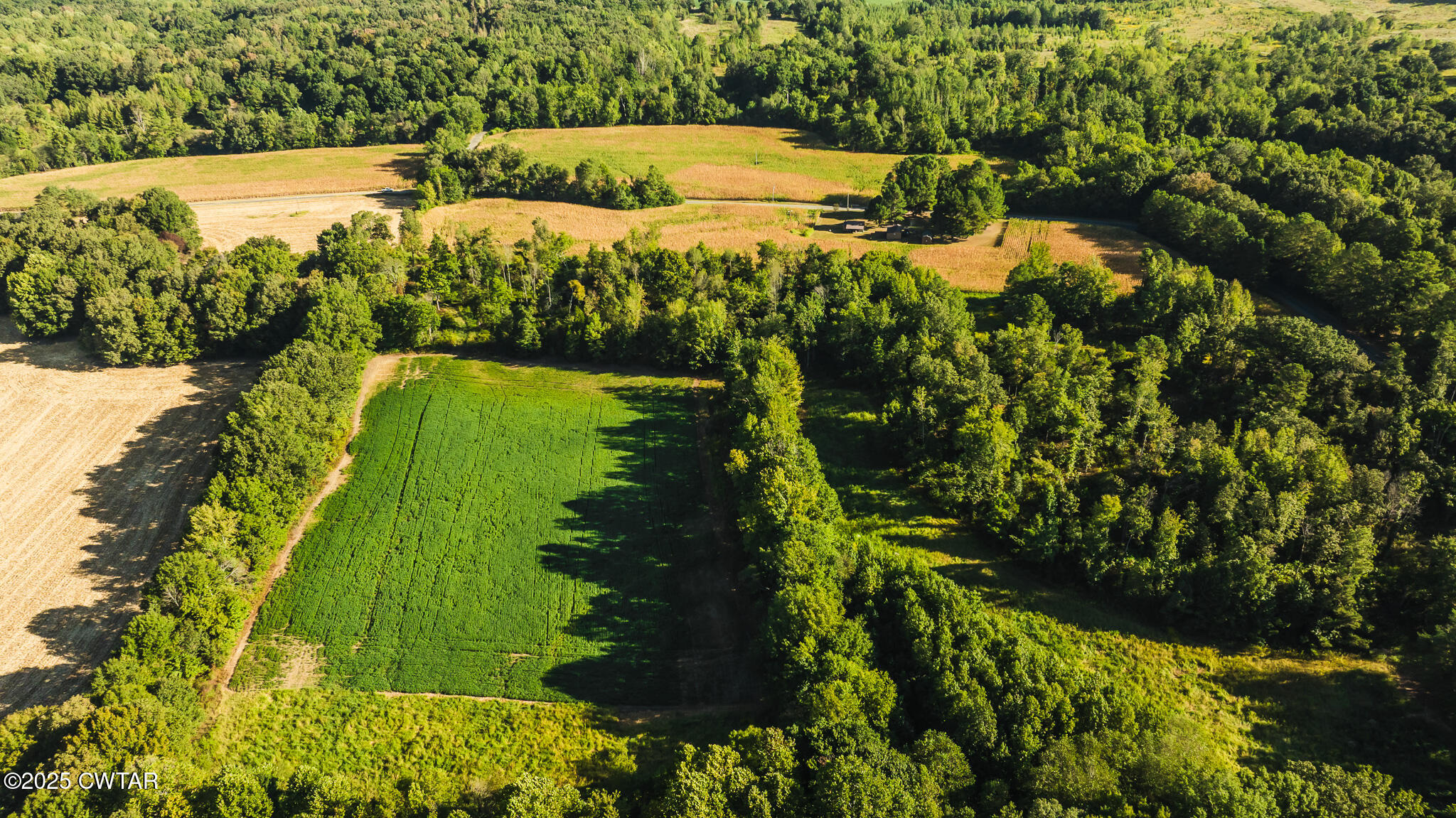 4500 Austin Springs Road Dukedom, TN 38226 - Photo 13 of 22 DJI_20250908085231_0006_D