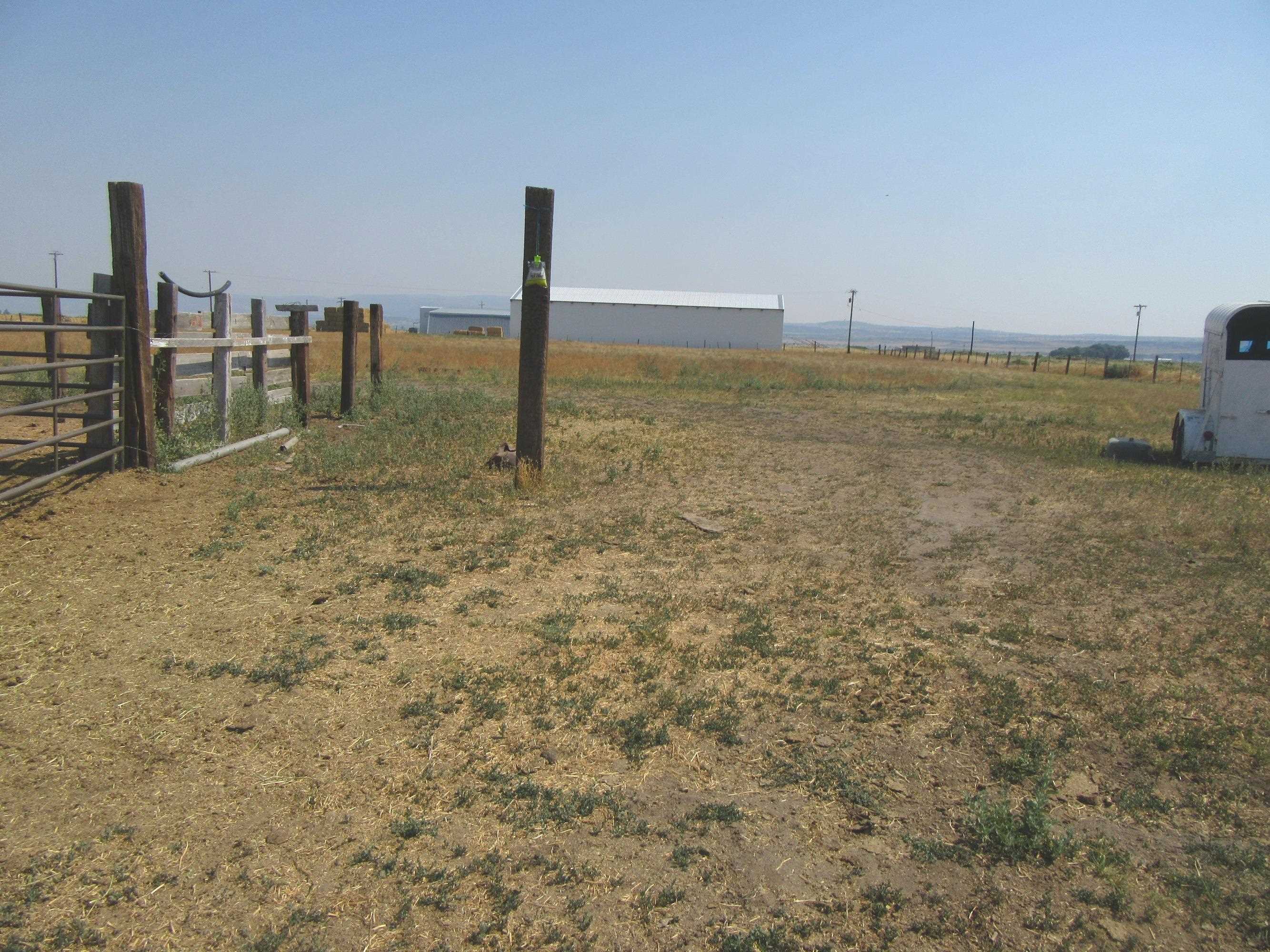 Lot 56 County Road McCloud, CA 96057 - Photo 2 of 13 Gallery Image 2