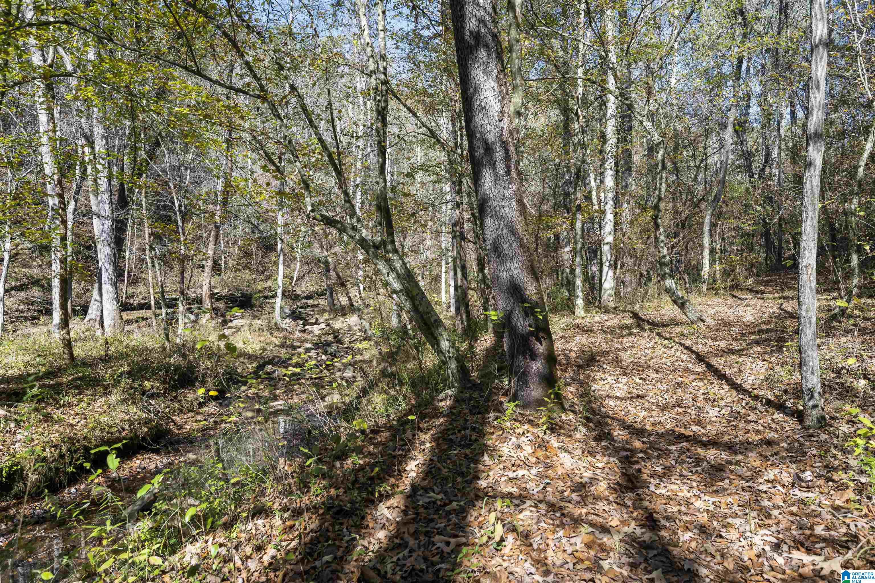 1078 Chamblee Mill Road Blountsville, AL 35031 - Photo 21 of 25